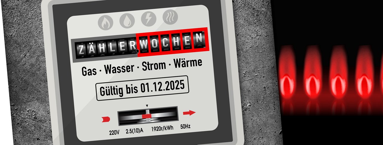 Zählerwochen 11 2025