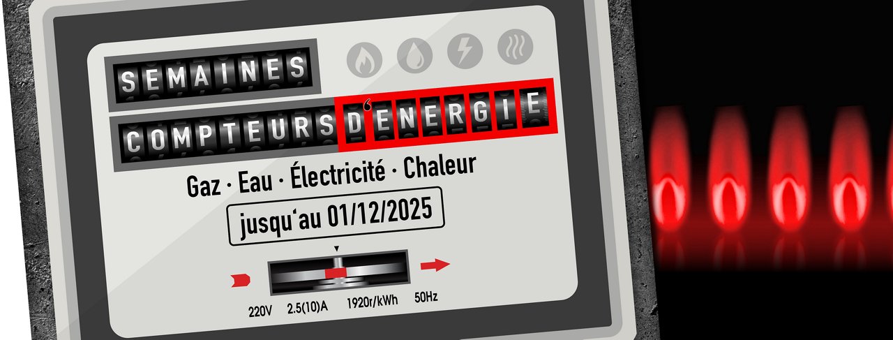 Semaines de comptage 11 2025