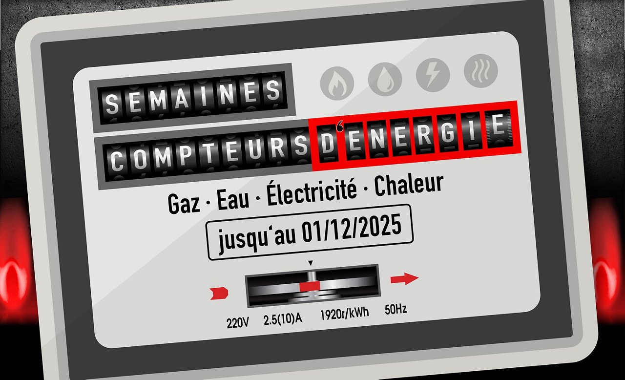 Semaines de comptage 11-2025