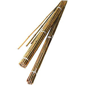 Bamboo Canes 4ft 1.2m PK 10