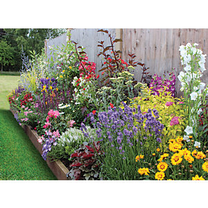 Image of Garden on a Roll Wildlife Plant Border - 600mm x 4m