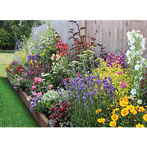 Image of Garden on a Roll Wildlife Plant Border - 600mm x 9m