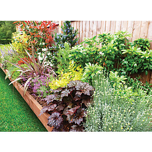 Image of Garden on a Roll Mixed Sunny Plant Border - 900mm x 3m