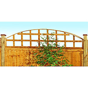 Image of Forest Garden Arch Top Trellis - 460mm X 1.83m