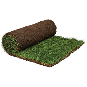 Rolawn Medallion Grass Turf Roll - 1m2