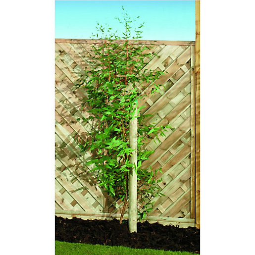 Wickes Timber Garden Tree Stake 50mm x 2.4m Wickes.co.uk