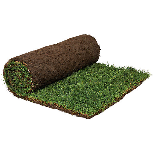 Rolawn Medallion Grass Turf Roll - 1m2 