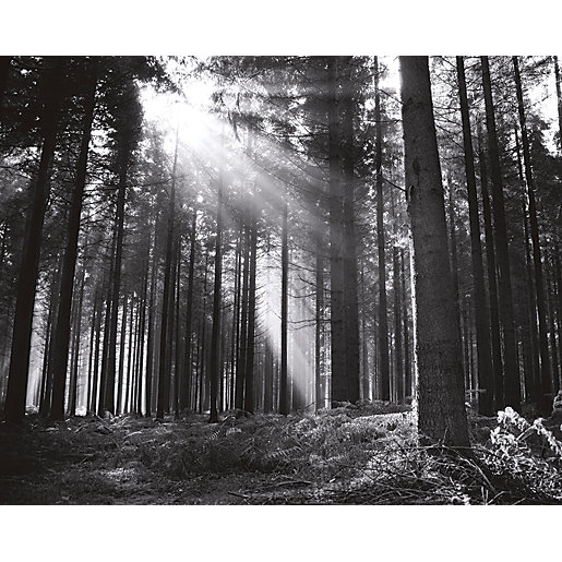 ohpopsi Black and White Forest Wall Mural | Wickes.co.uk