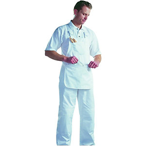 dickies painters bib and brace