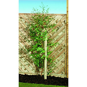 Wickes Timber Garden Tree Stake - 40mm x 1.8m