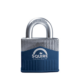 twin padlocks