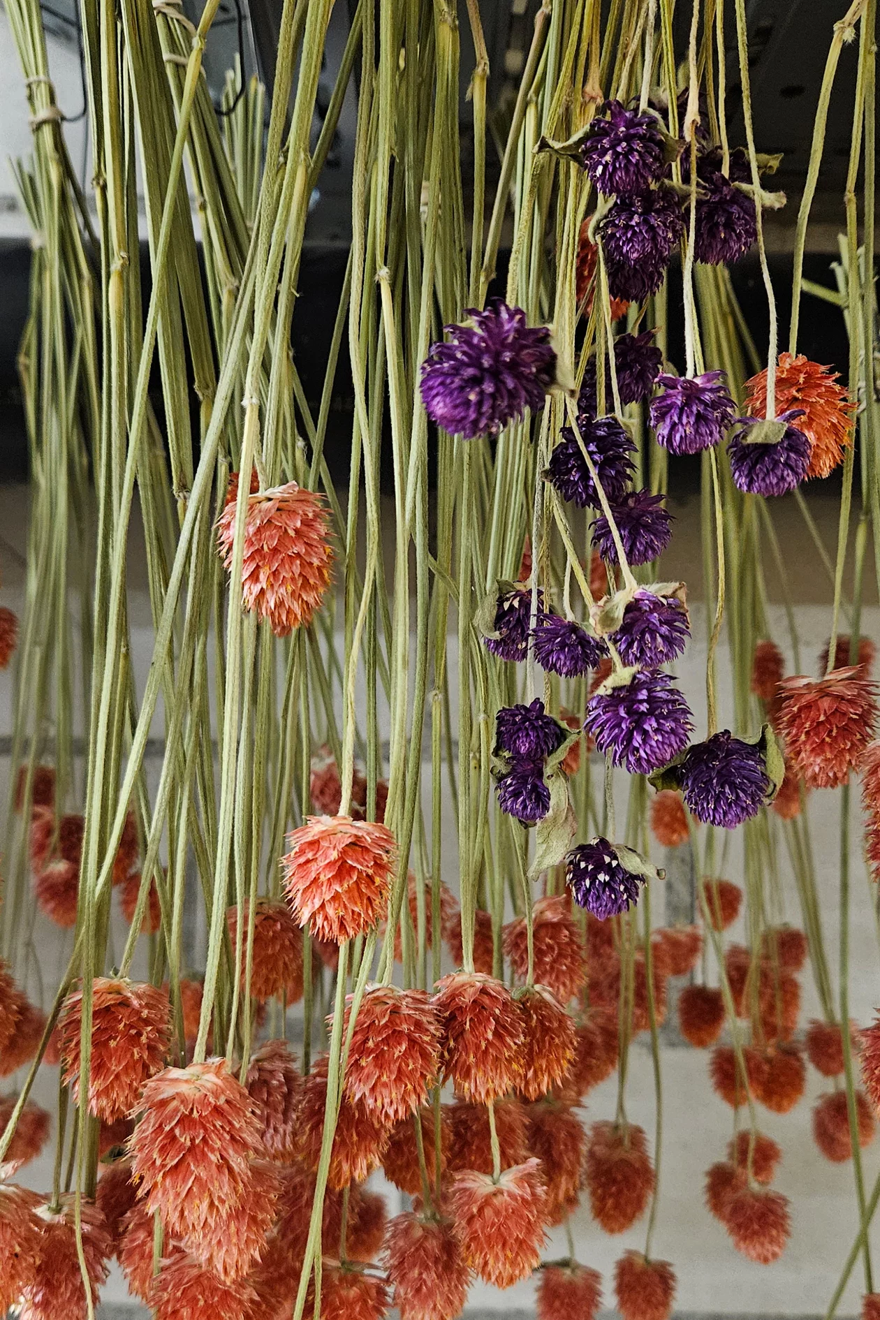 2-slow-flowers-querbeet