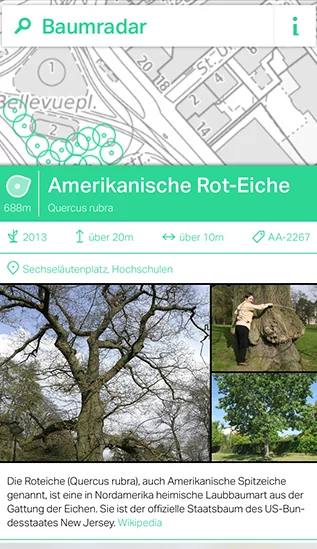 Sceenshot der Web-App Baumradar