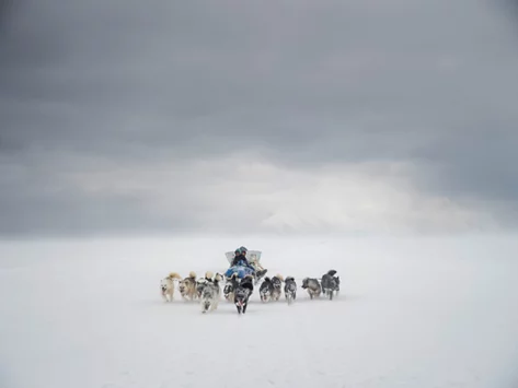 2025-buehler-nonam-keyvisual