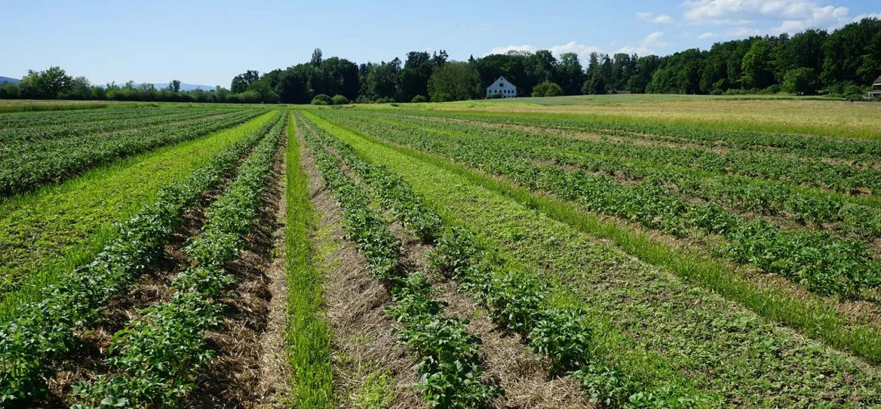 Landwirtschaft Adlisberghof