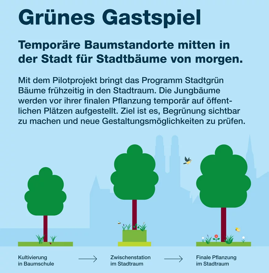 Aufsteller Grünes Gastspiel Web