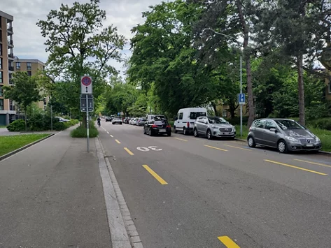 Ein Beispiel einer Strasse, an der keine Begegnungszone umgesetzt werden kann.