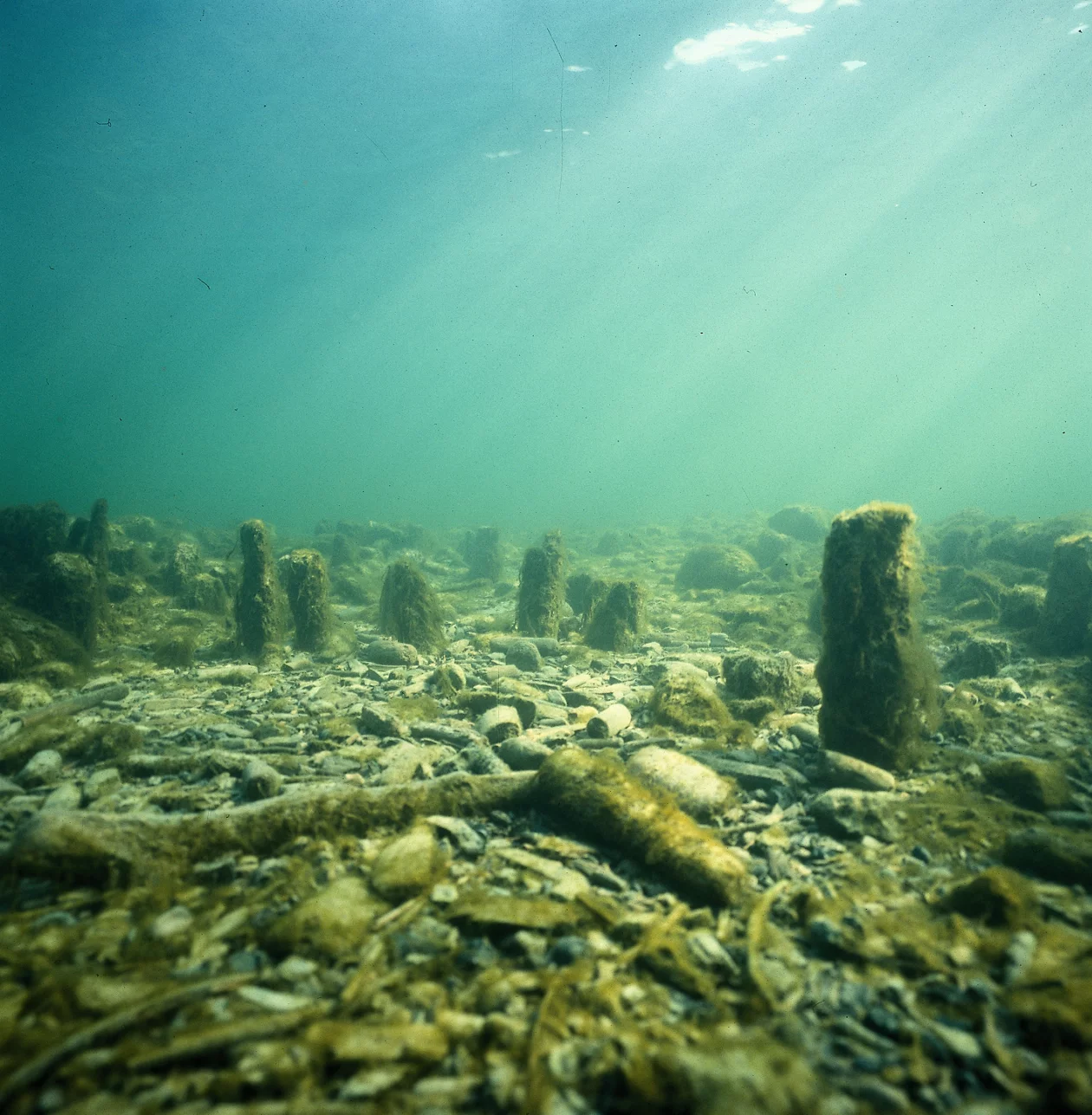 Foto Unterwasseransicht der Pfahlbaustrukturen