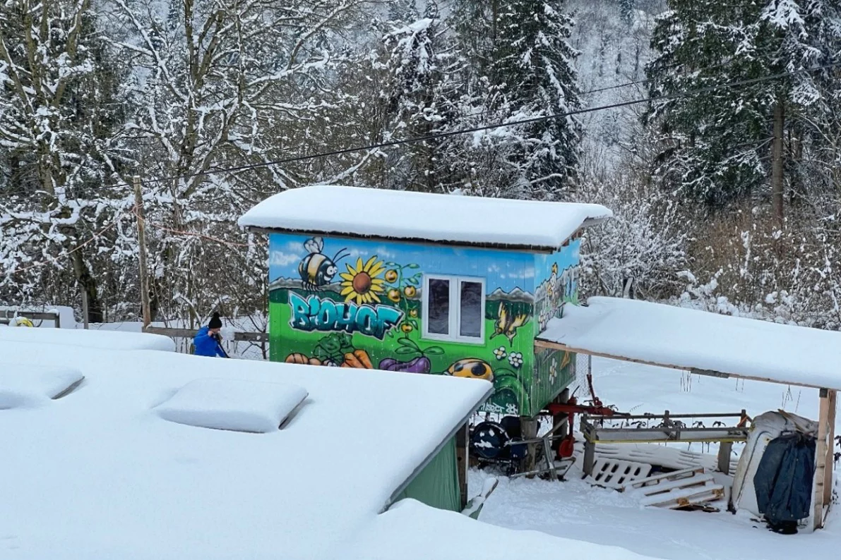 Arche Biohof im Winter