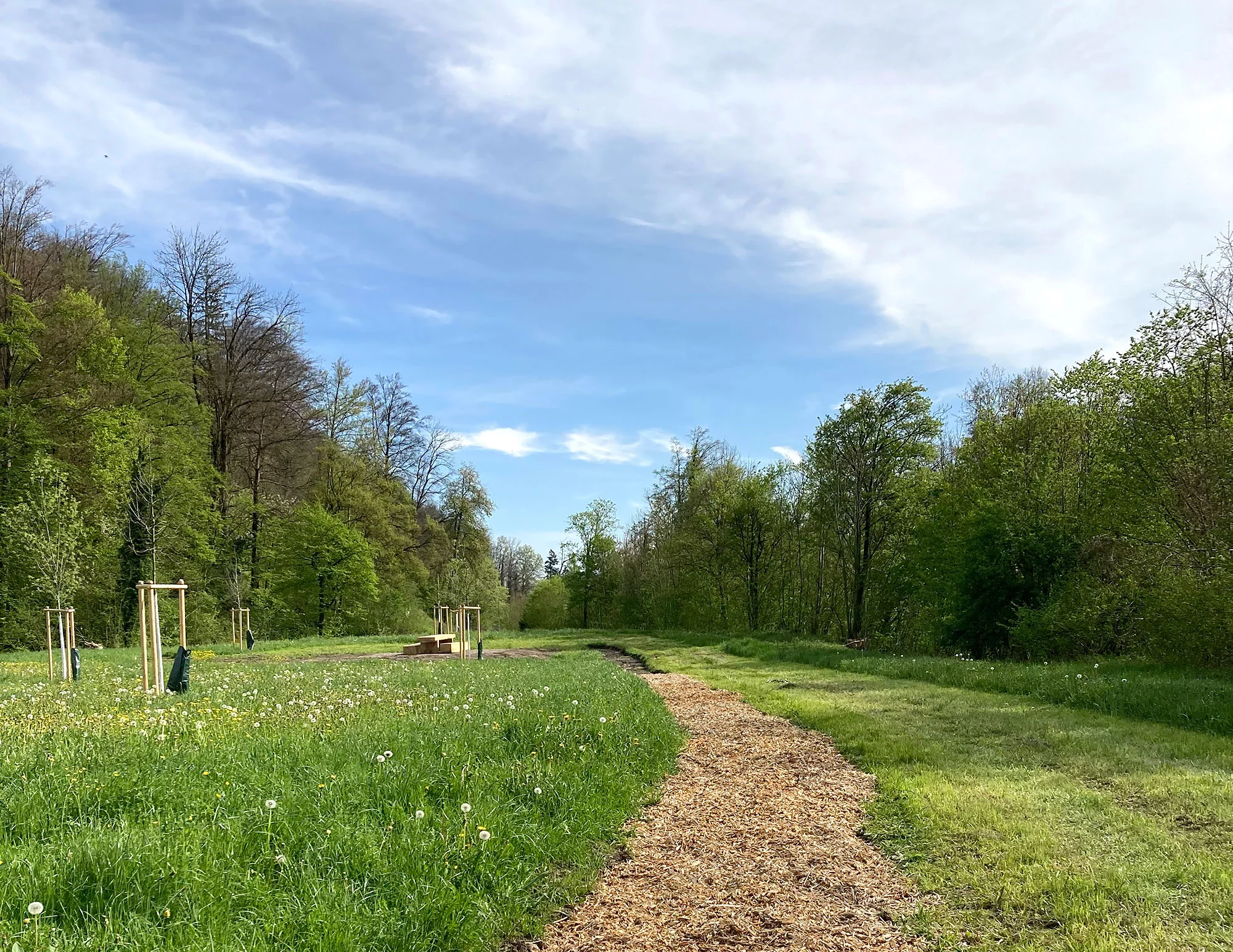 Der Weg zum neuen Picknick-Hain.