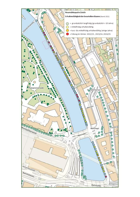 Baumgutachten Neumühlequai