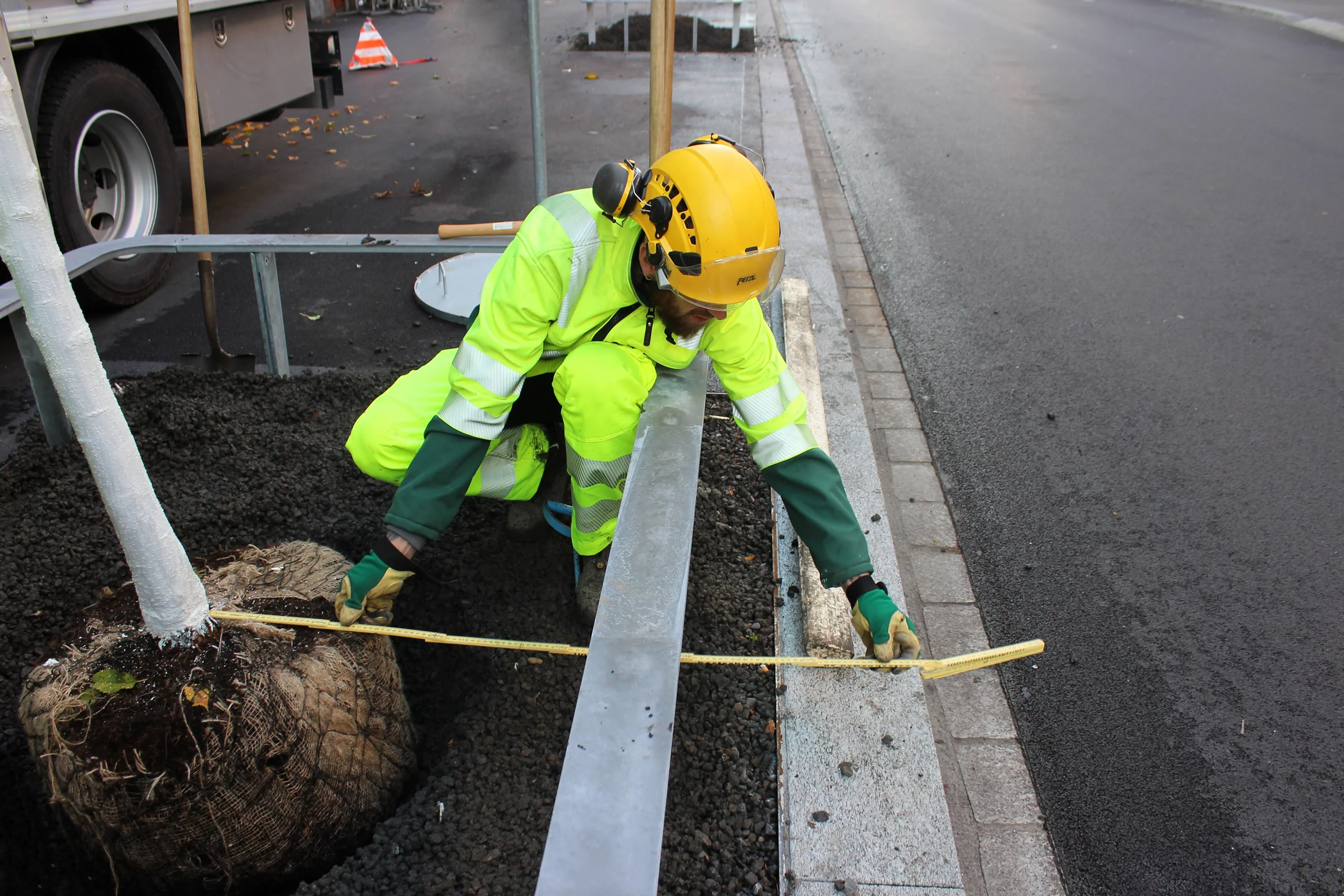 Ein Mann pflanzt an der Langstrasse in Zürich einen Baum.