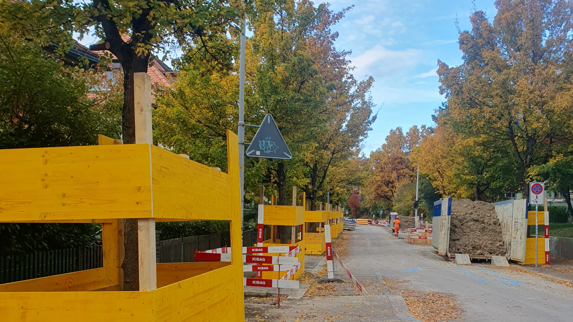 Bäume an einer Strasse, die durch Bauzäune geschützt werden