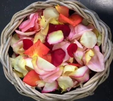 Rosen Blütenblätter im Körbchen
