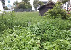 Eierbrecht Parzelle 510