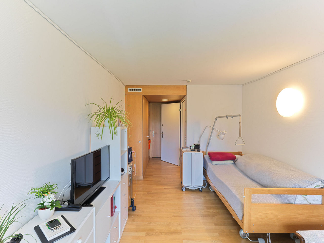 Galerie Bild 1 von 14