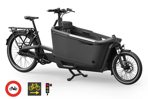 Elektro-Lastenfahrrad der Kategorie Leicht-Motorfahrräder