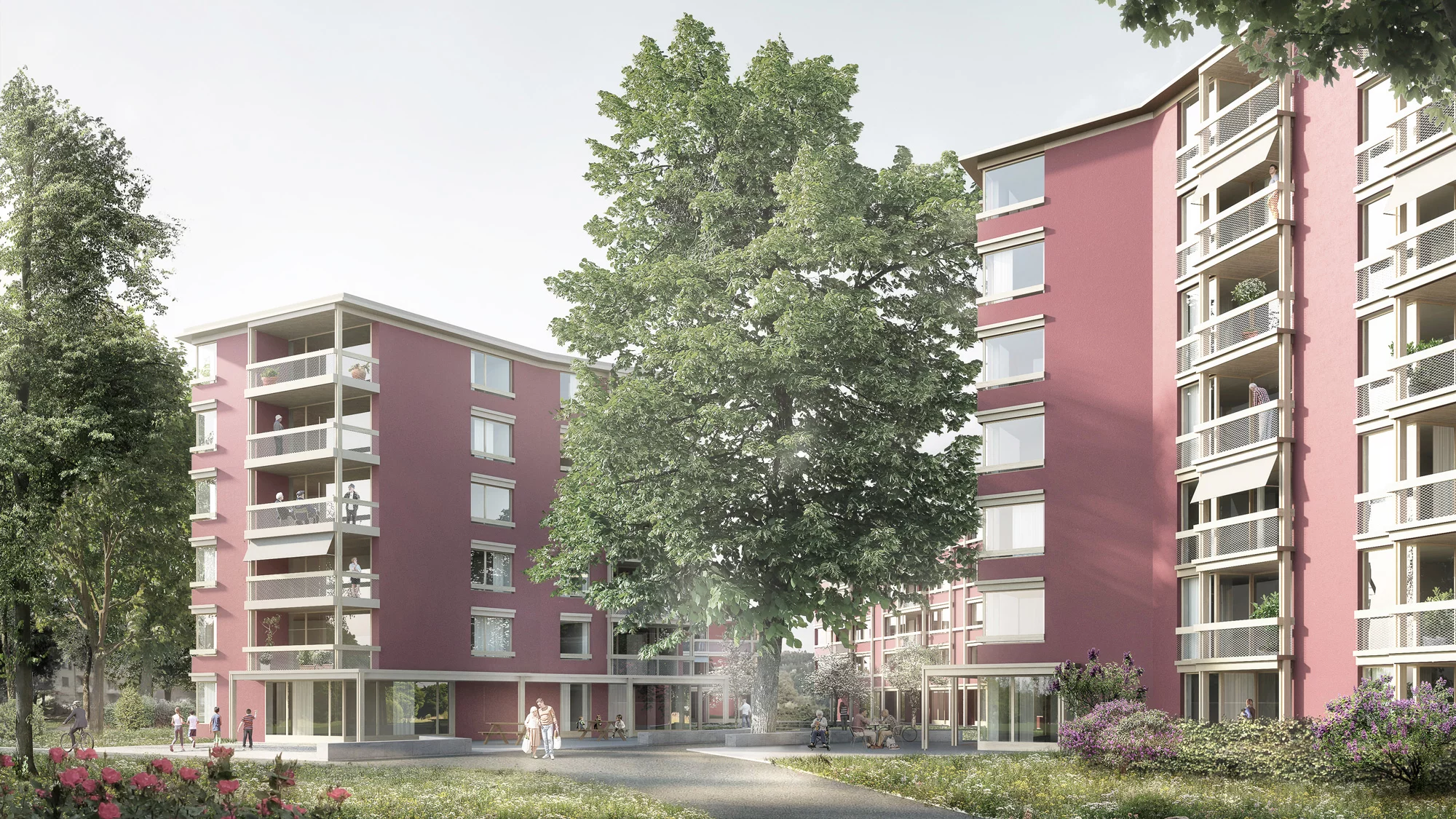 Visualisierung Bauprojekt Espenhof 