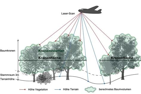 Illustration: Messflug der Kronenfläche mit Flugzeug durch den Bund.