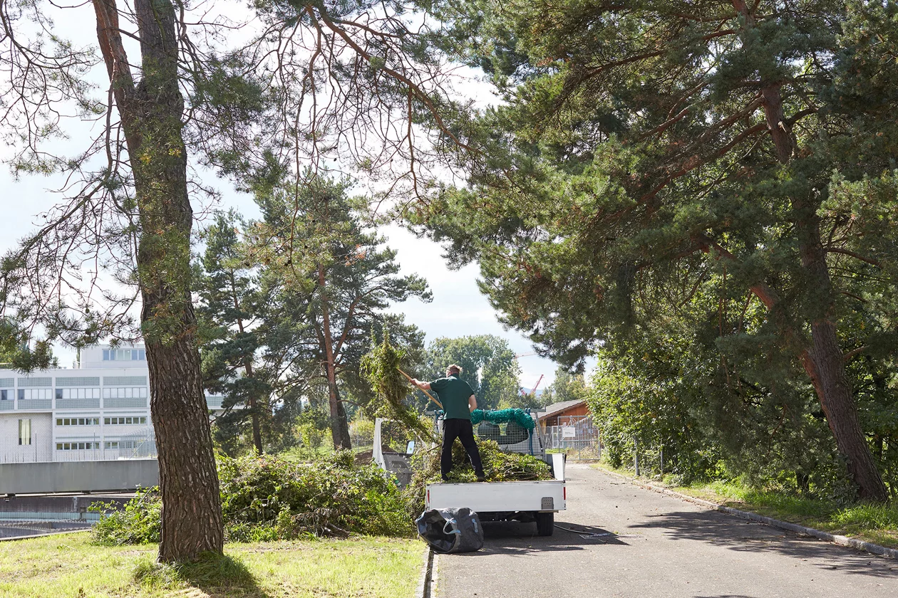 Bei Garten und Wald ist richtig, wer Handwerk und Natur mag. Wir arbeiten in Parkanlagen im Wald und in Gärten.