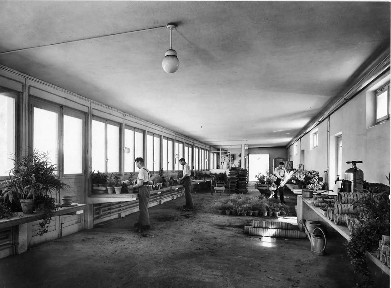 Eine Schwarz-Weiss Fotografie aus vergangenen Zeiten zeigt Gärtner*innen bei der Arbeit in der Stadtgärtnerei.