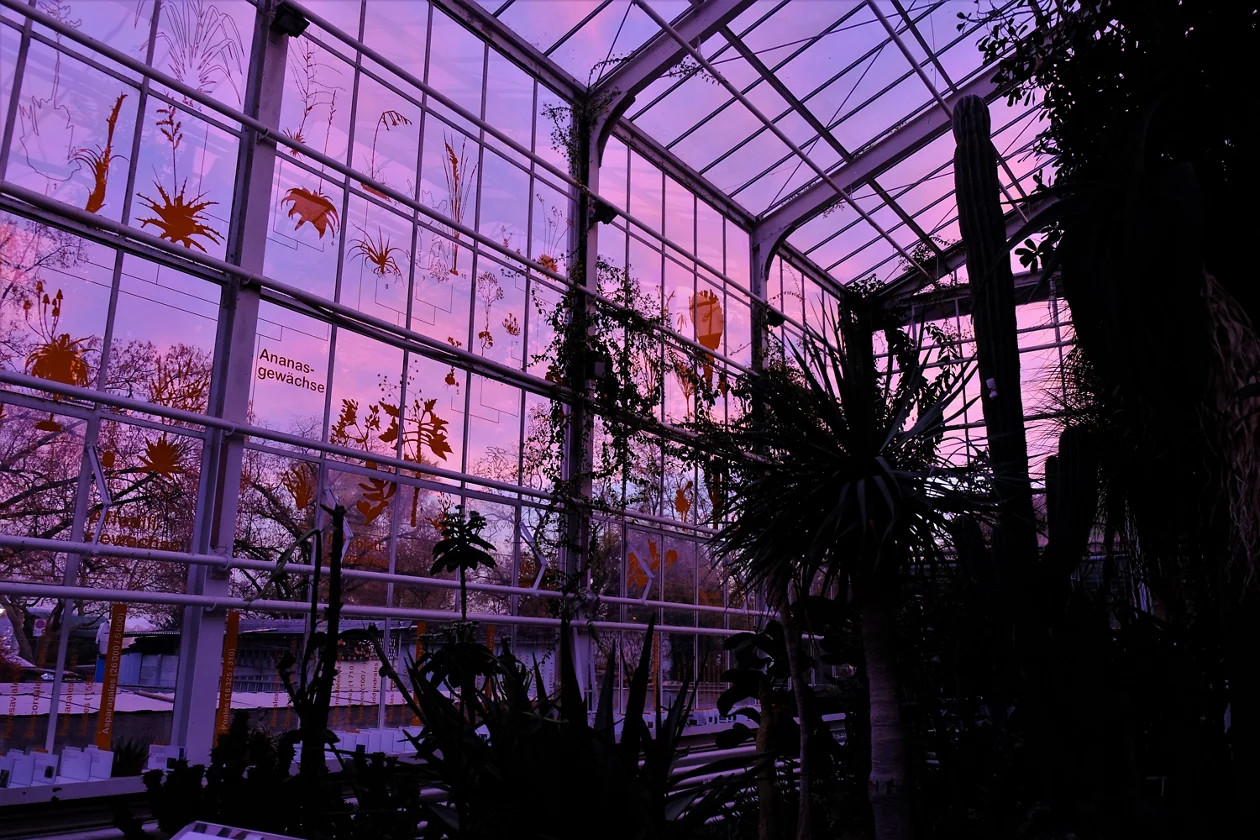 Lila Farbtöne Abendstimmung im Glashaus 