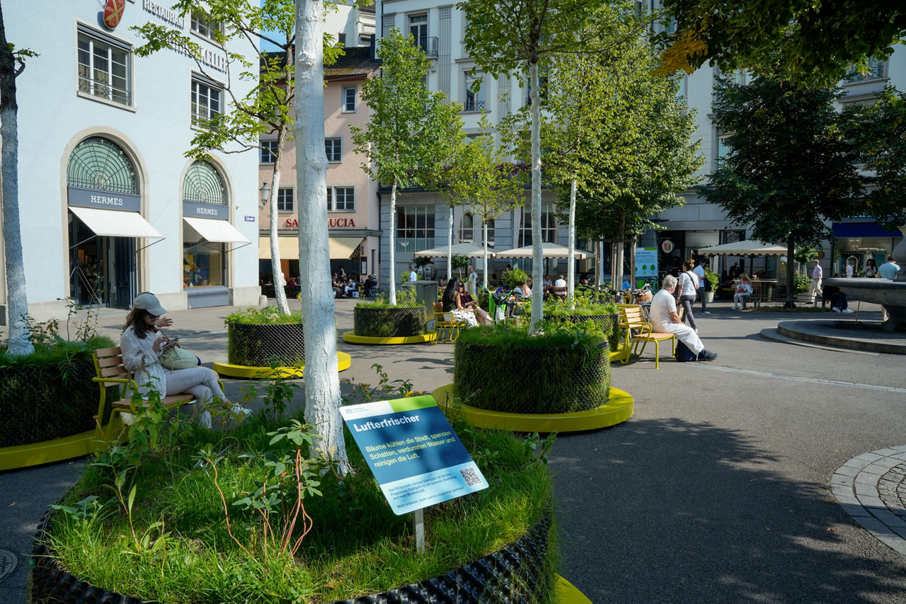 Grünes Gastspiel Zeughausplatz