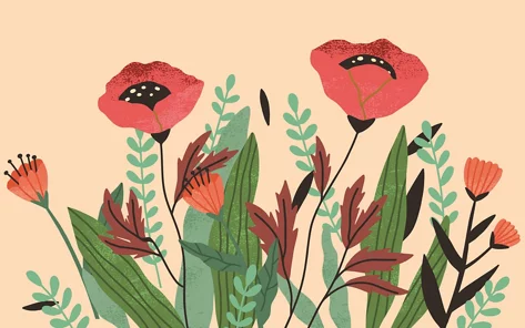 Illustration einer Blumenwiese mit Mohnblumen
