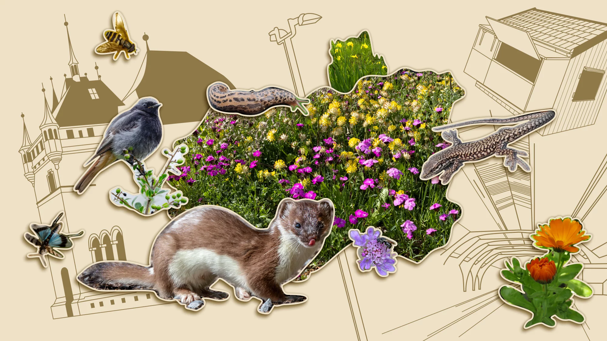 Bild zur Ausstellung: Vernetzte Natur lebenswerte Stadt