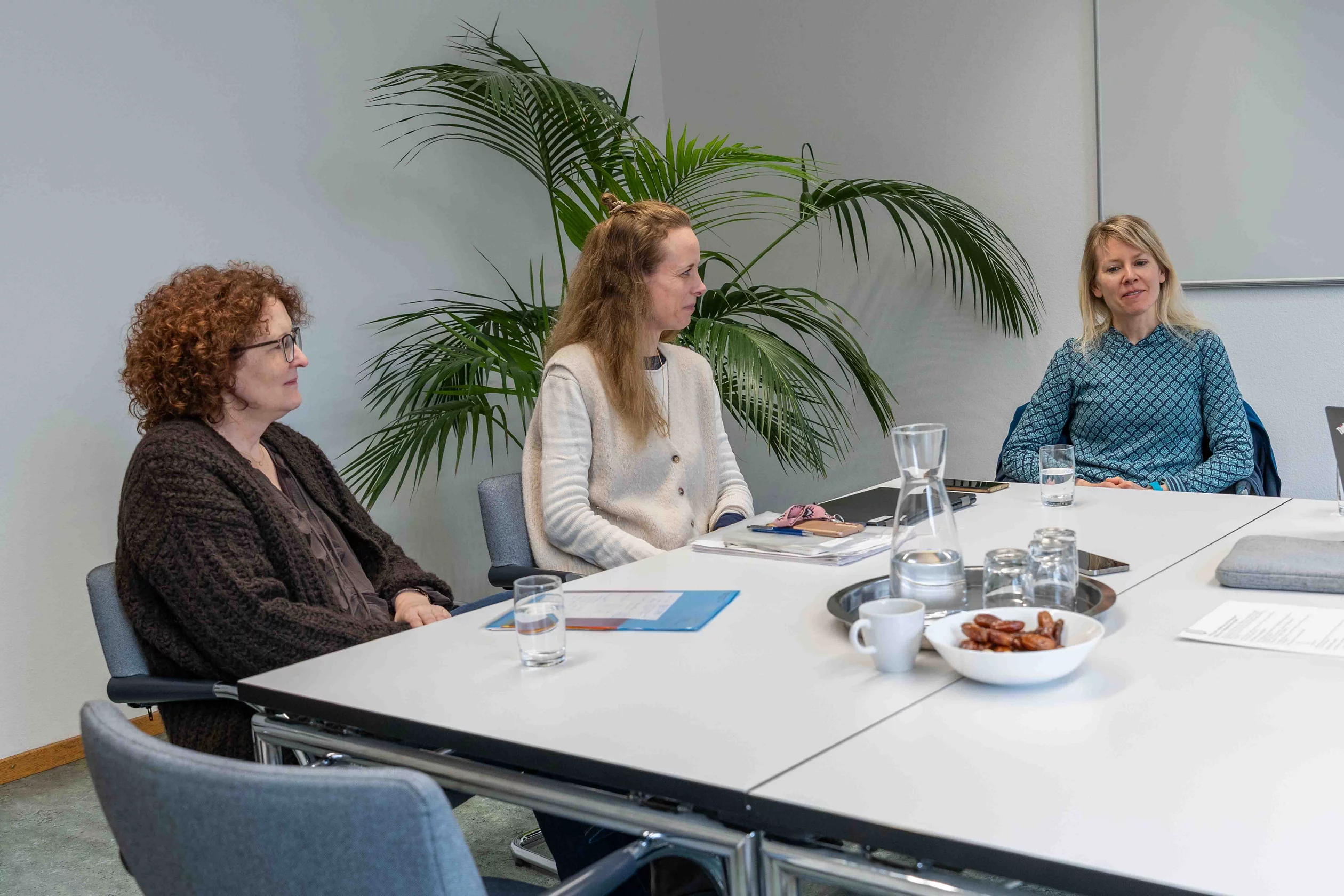 Drei Vertreterinnen Meret Brunschwiler, Martina Keller und Elke Robinson