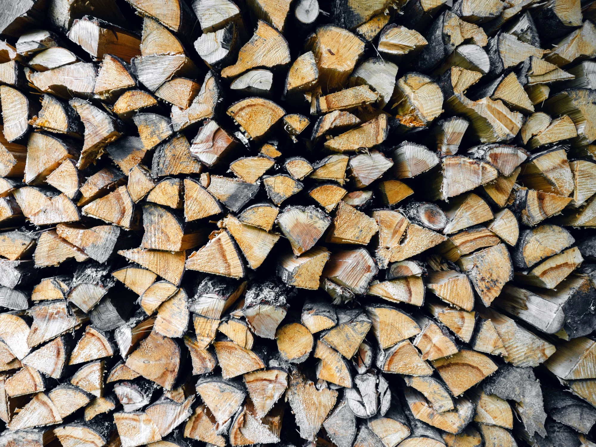 Brennholz