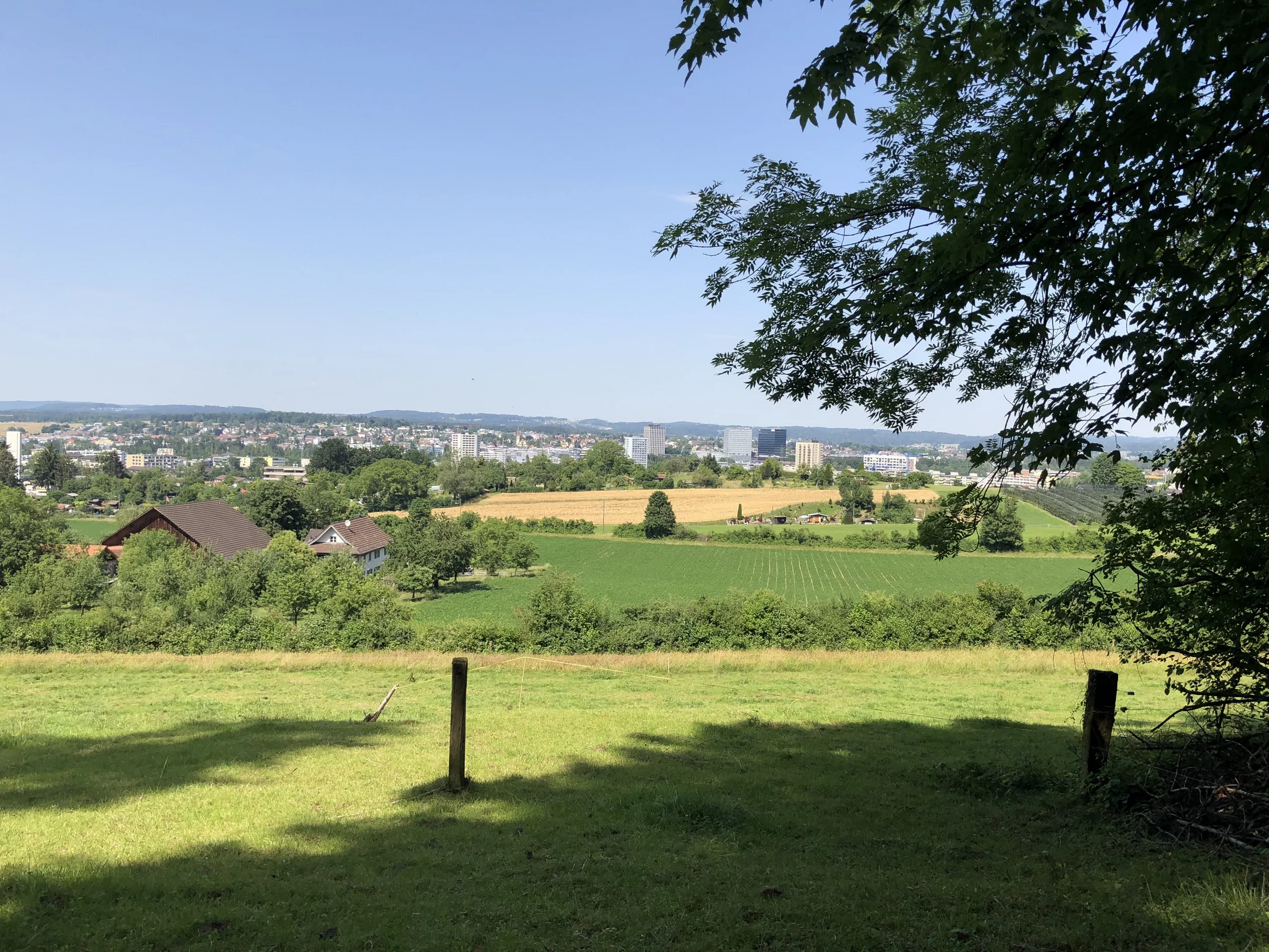 Probstei Hügel in Schwamendingen.