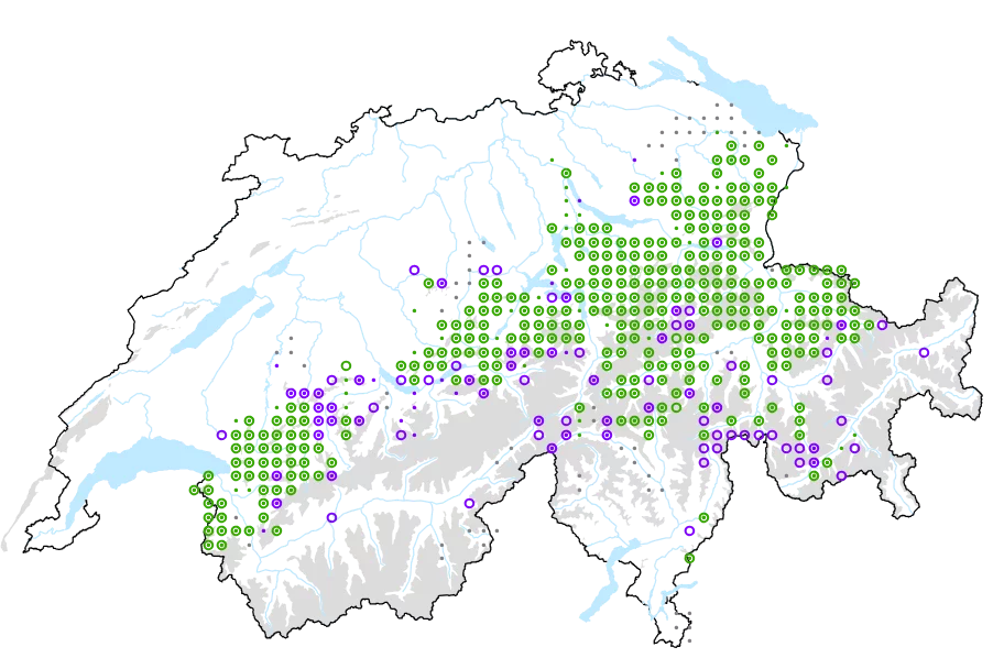 infoflora