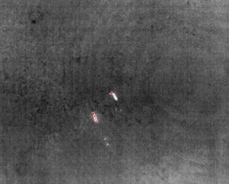 Infrarotaufnahme von zwei Rehen