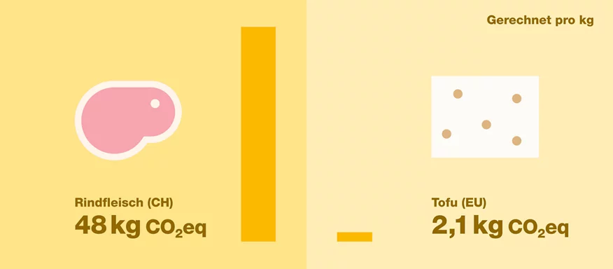 Vergleich Treibhausgasemissionen Flesich und Tofu.