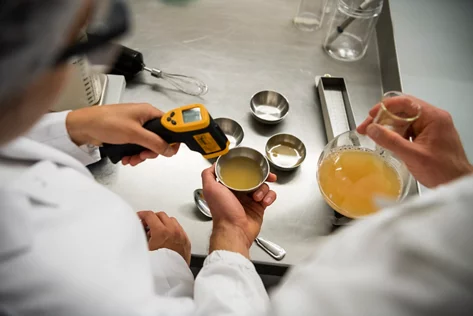 EggField: Ei-Ersatzprodukte
