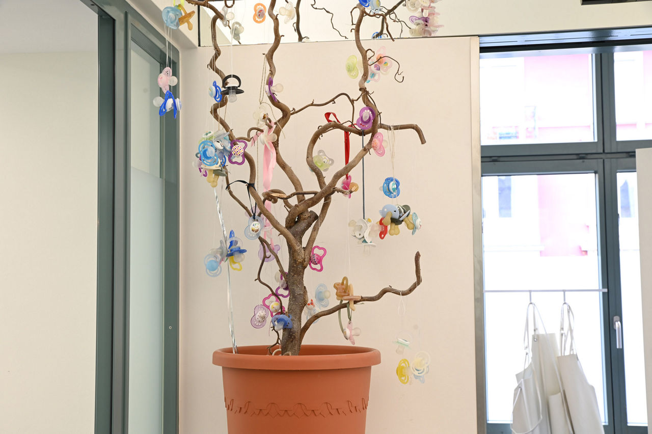 Galerie Bild 10 von 10