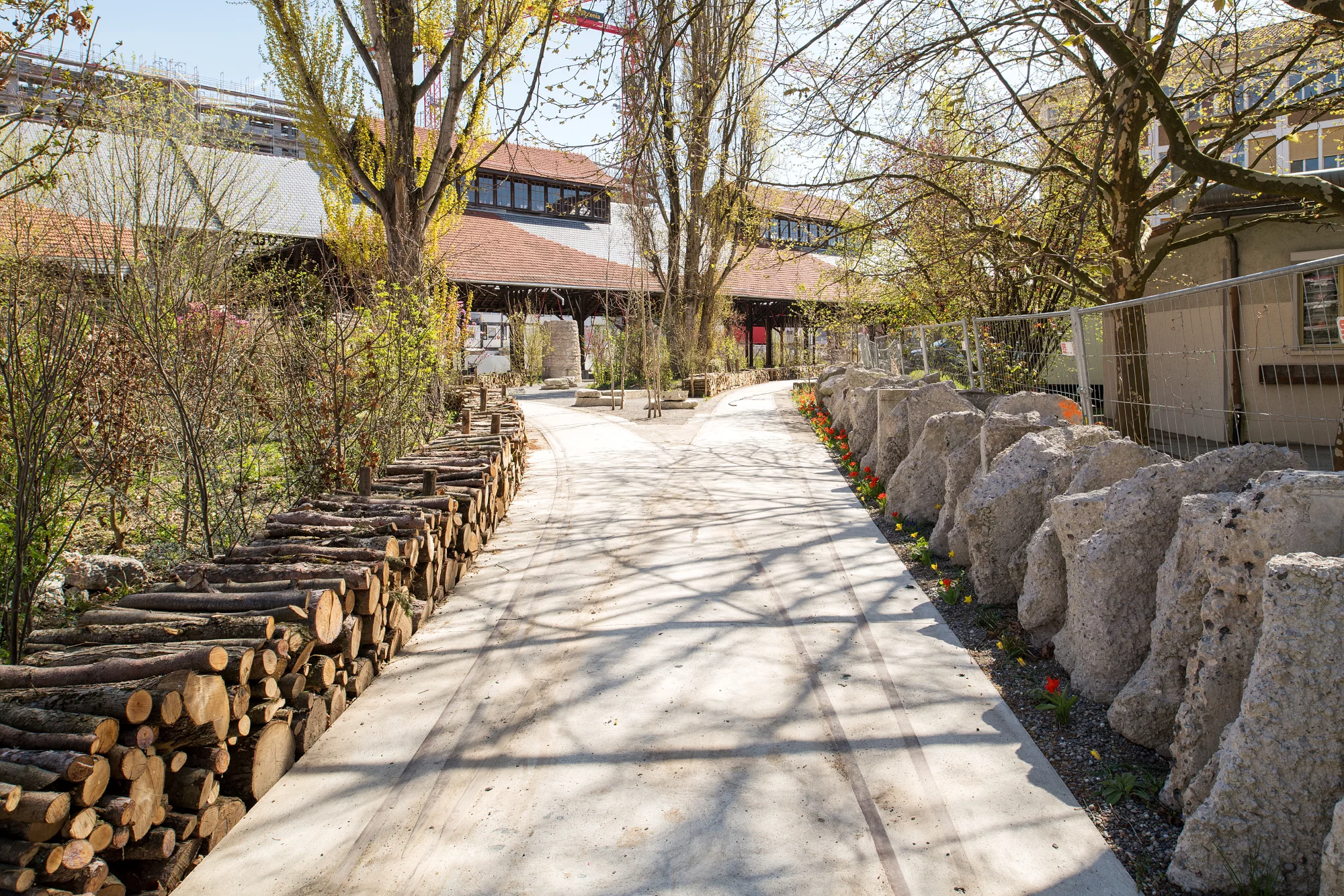 Koch-Park in Zürich