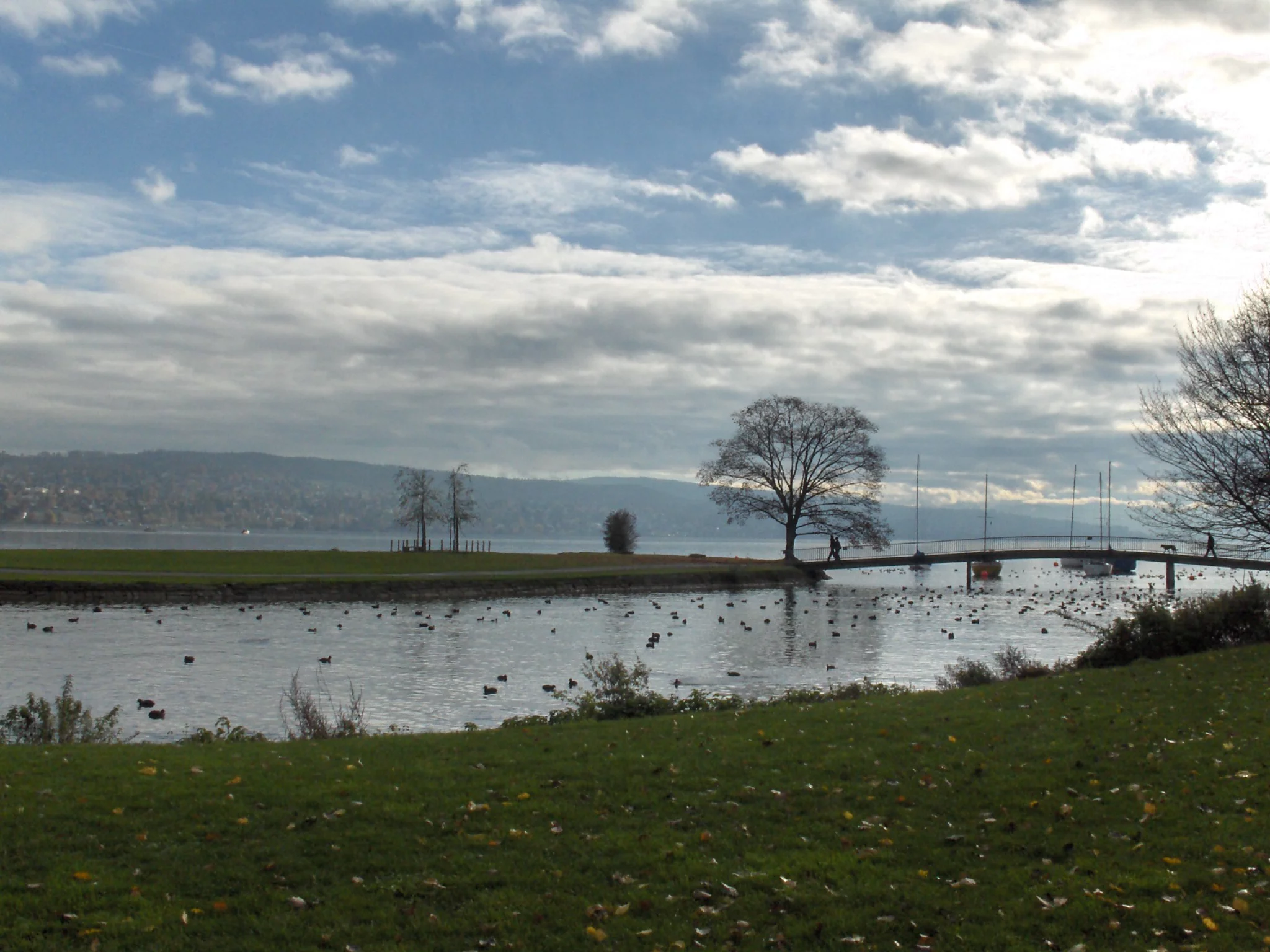 Das Bild zeigt die Landiwiese mit Blick auf die Saffainsel.