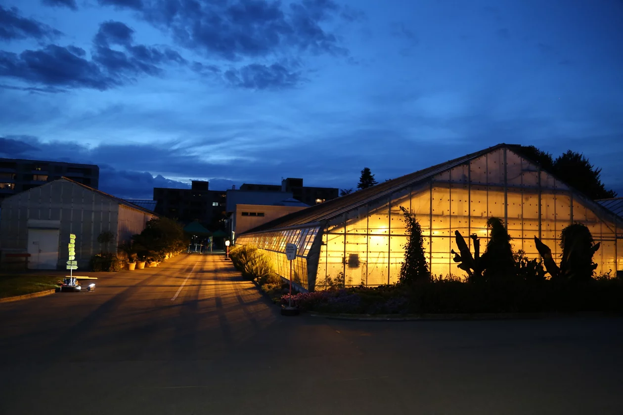 Die beleuchteten Gewächshäuser der Stadtgärtnerei bei Nacht.
